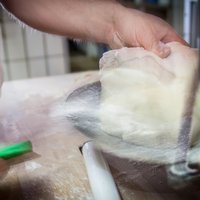 Teig der Rosenbäckerei